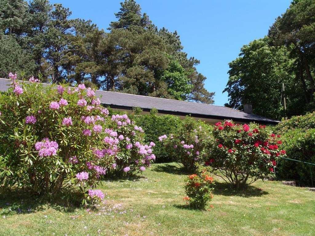 Plas Heulog Holiday Accommodation Llanfairfechan Eksteriør bilde